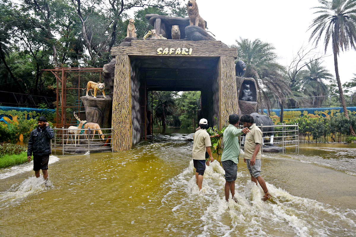 Nehru Zoo Park Closes Lion Safari In Hyderabad - Sakshi8