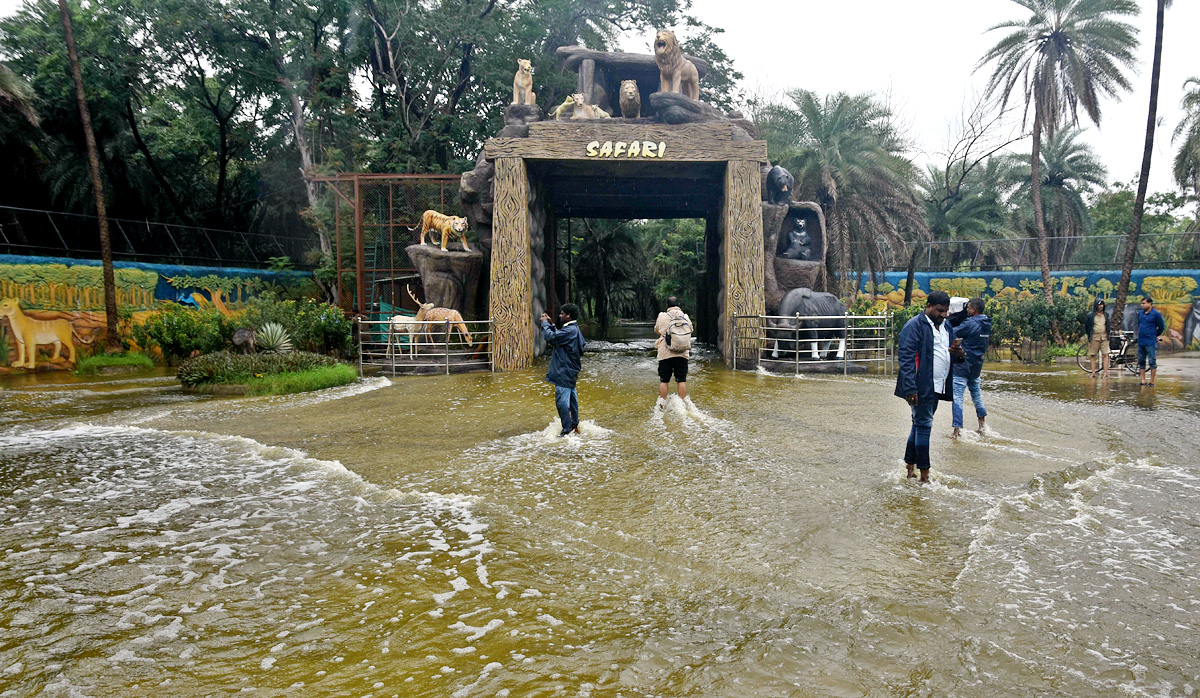 Nehru Zoo Park Closes Lion Safari In Hyderabad - Sakshi16