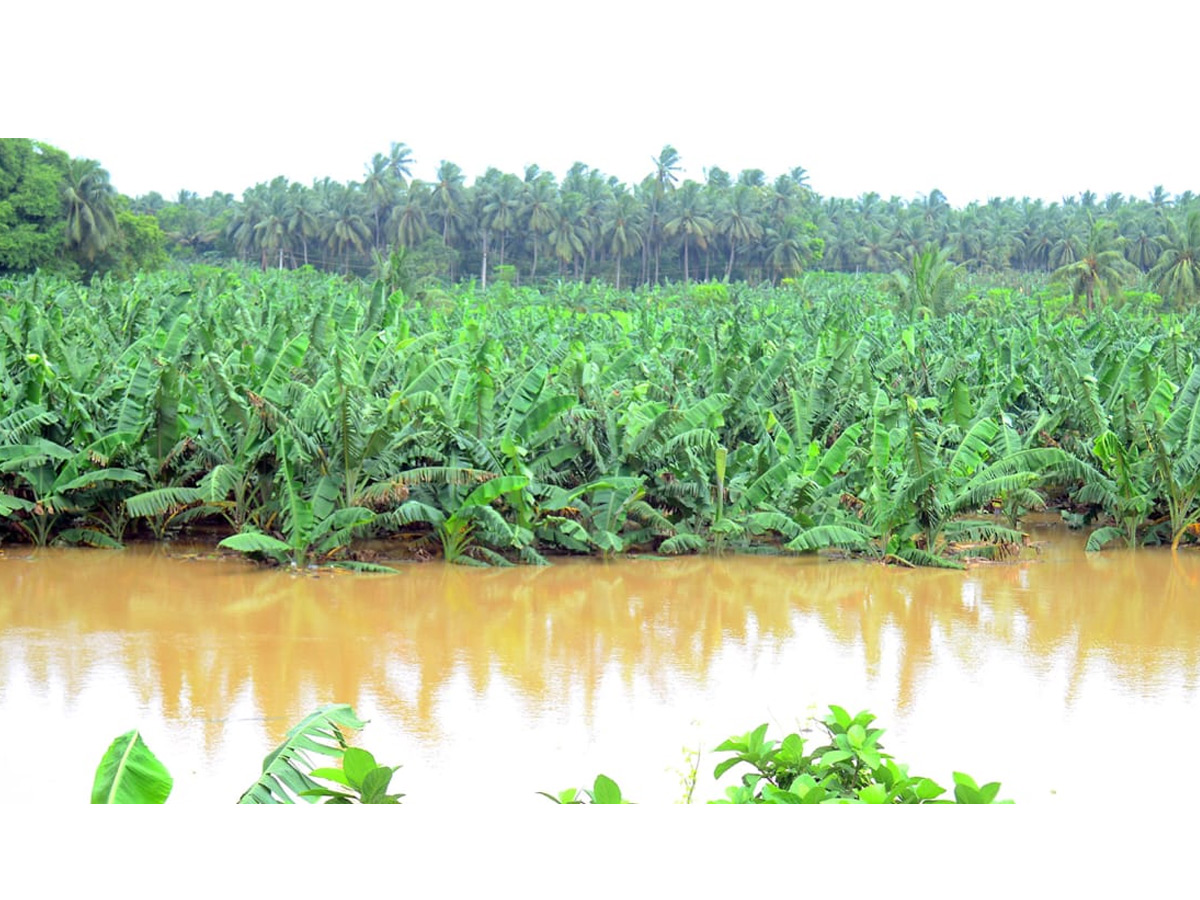 Godavari Flood Affect in Konaseema District Photo Gallery - Sakshi11