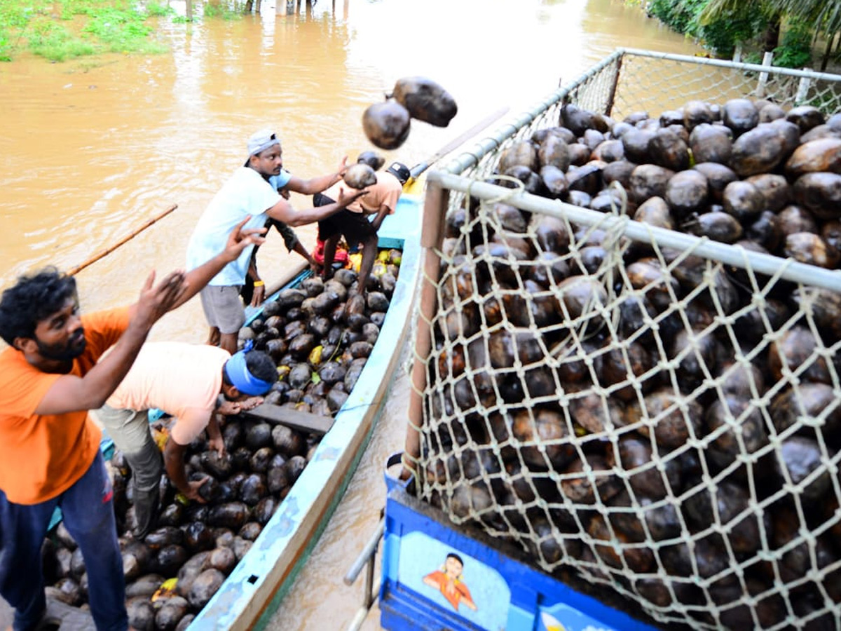 Godavari Flood Affect in Konaseema District Photo Gallery - Sakshi9