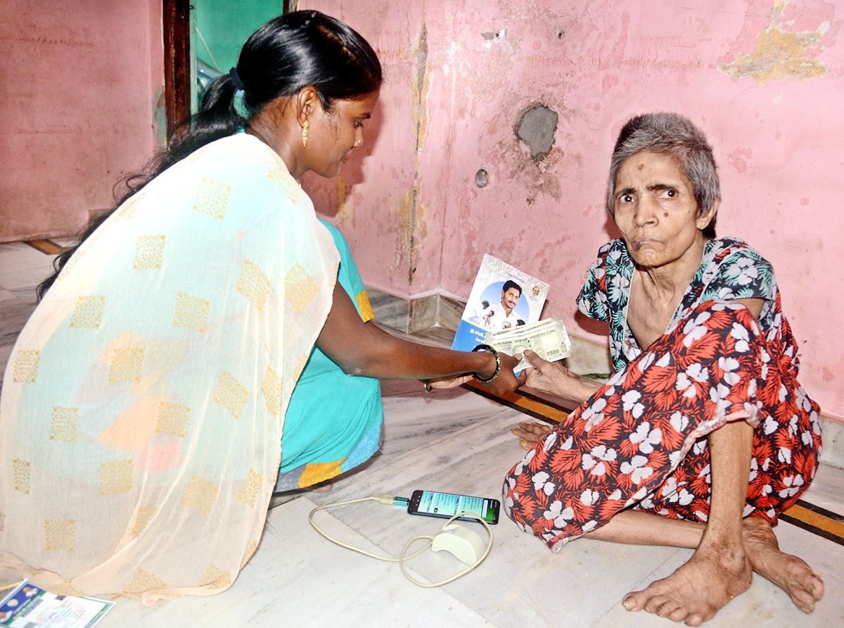 YSR Pension Kanuka Distribution in AP - Sakshi19