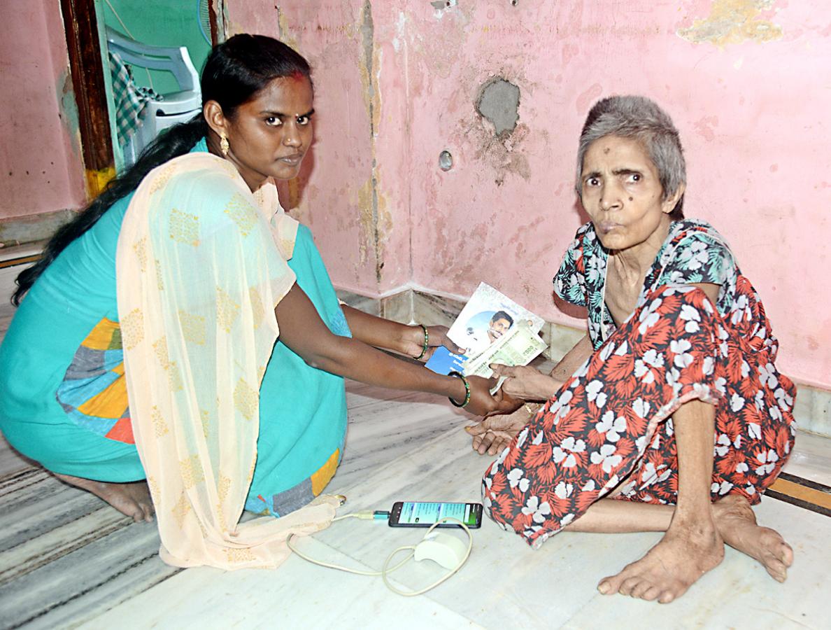 YSR Pension Kanuka Distribution in AP - Sakshi29