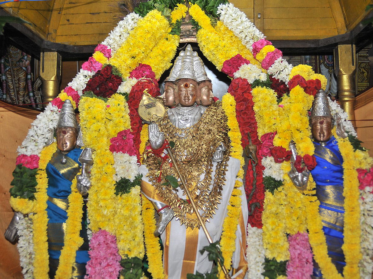 Tiruttani Subramanya Swamy Temple Images, Devotees Pics - Sakshi6