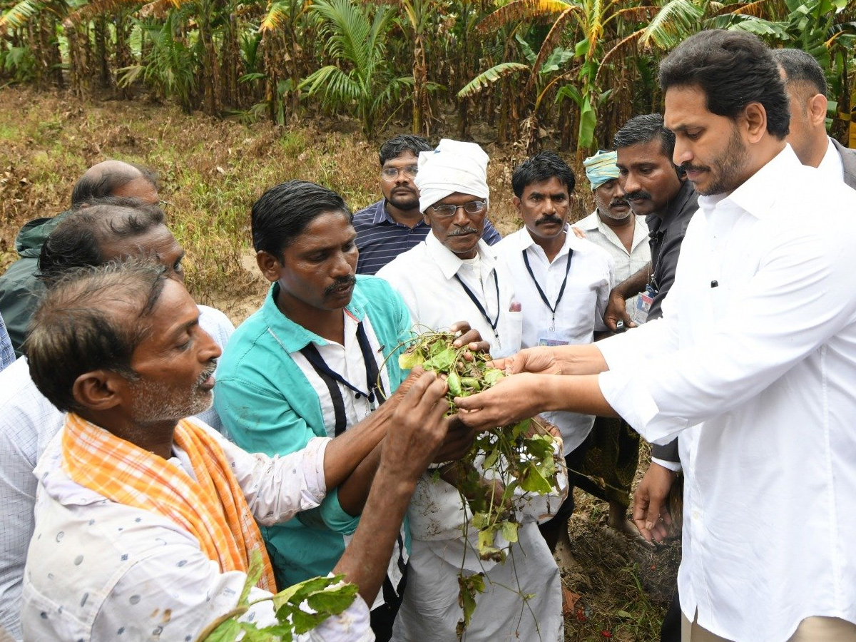 AP CM YS Jagan tours flood hit areas of Konaseema district Photo Gallery - Sakshi33