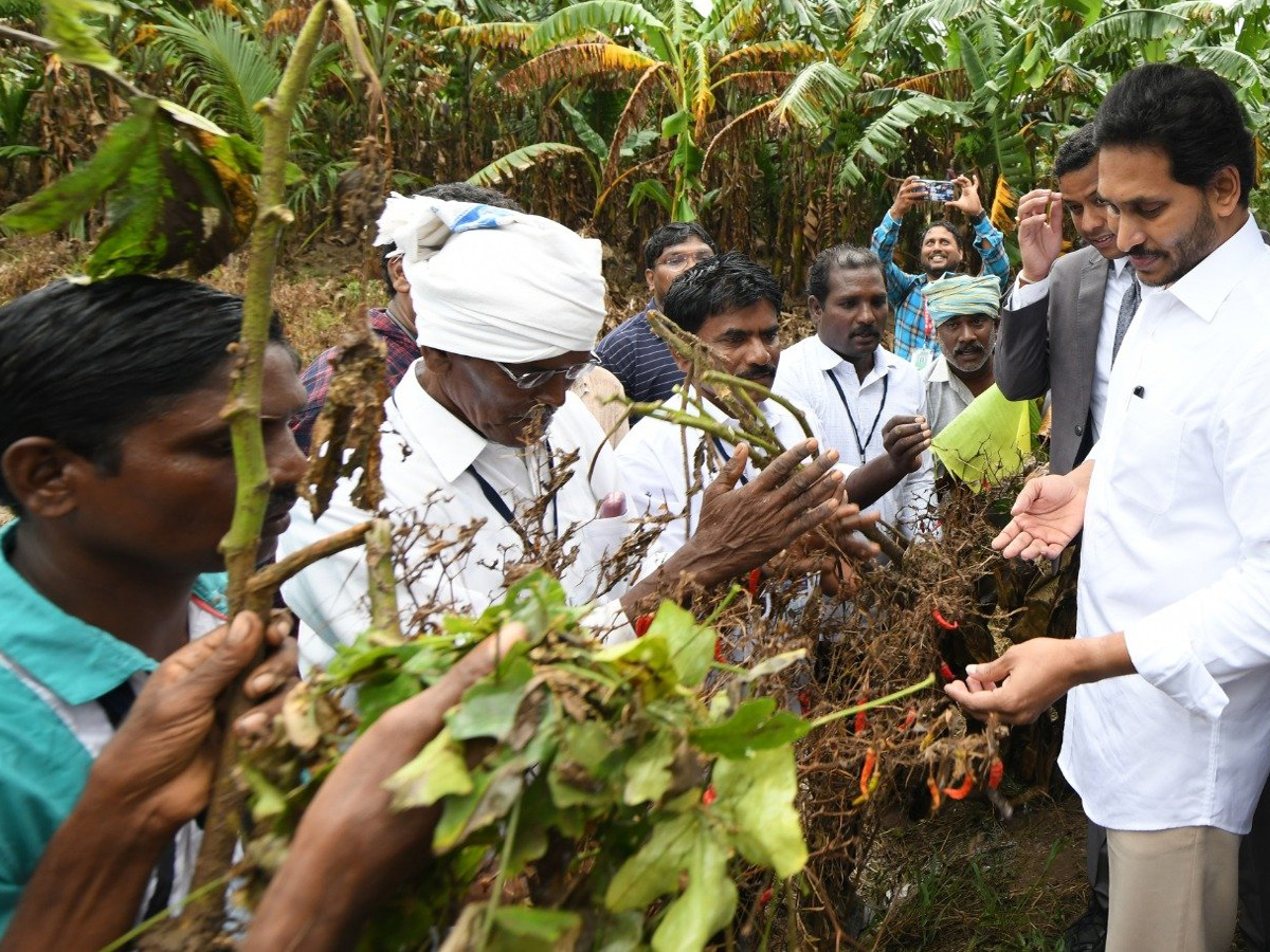 AP CM YS Jagan tours flood hit areas of Konaseema district Photo Gallery - Sakshi35