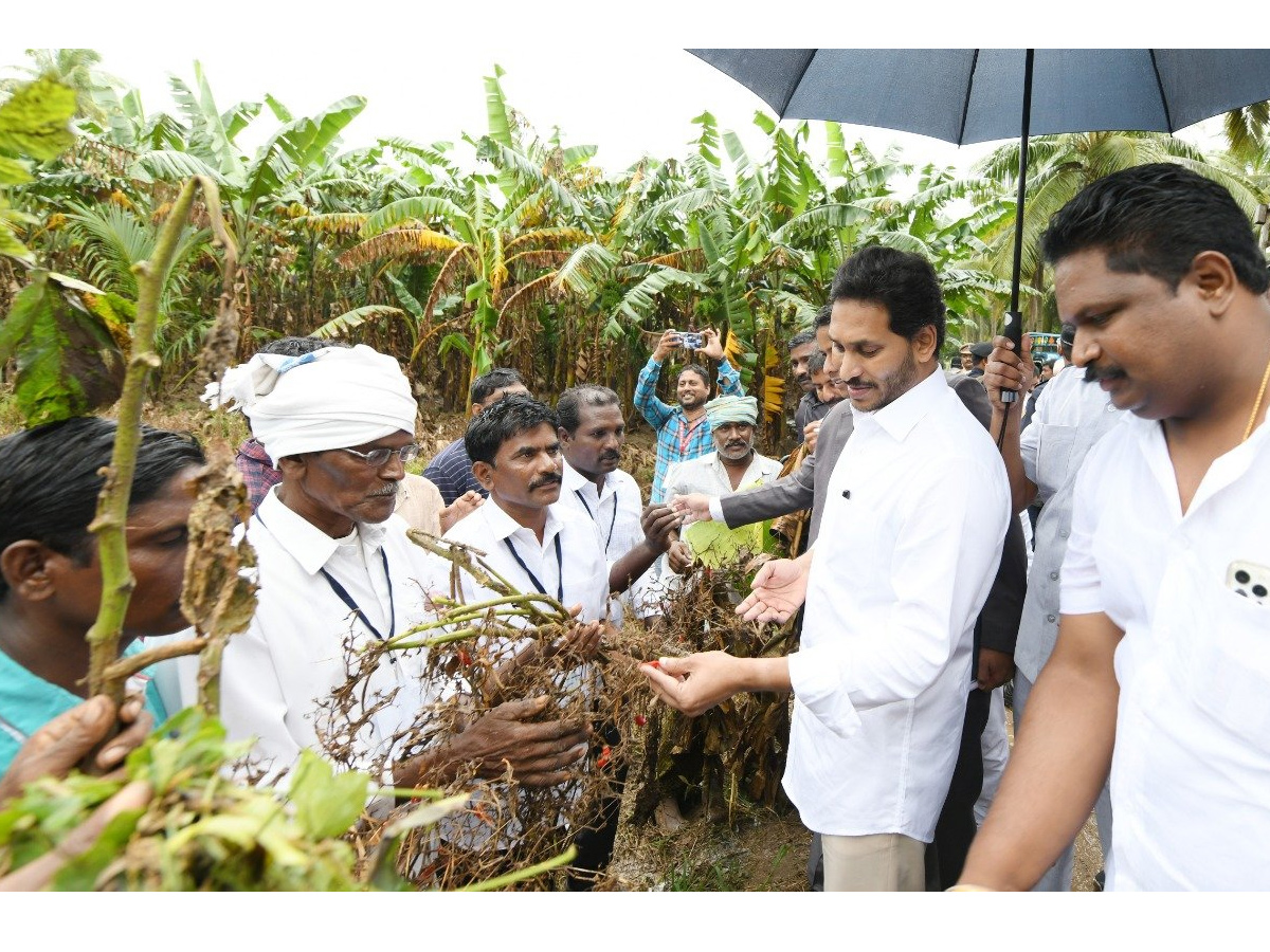 AP CM YS Jagan tours flood hit areas of Konaseema district Photo Gallery - Sakshi36