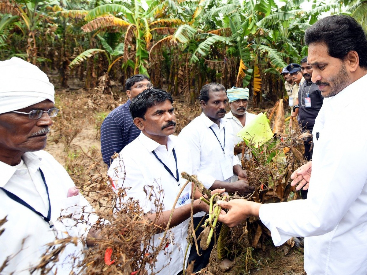 AP CM YS Jagan tours flood hit areas of Konaseema district Photo Gallery - Sakshi38