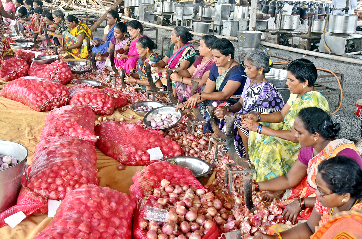 Grand Arrangements For YSRCP Plenary Meeting  - Sakshi35