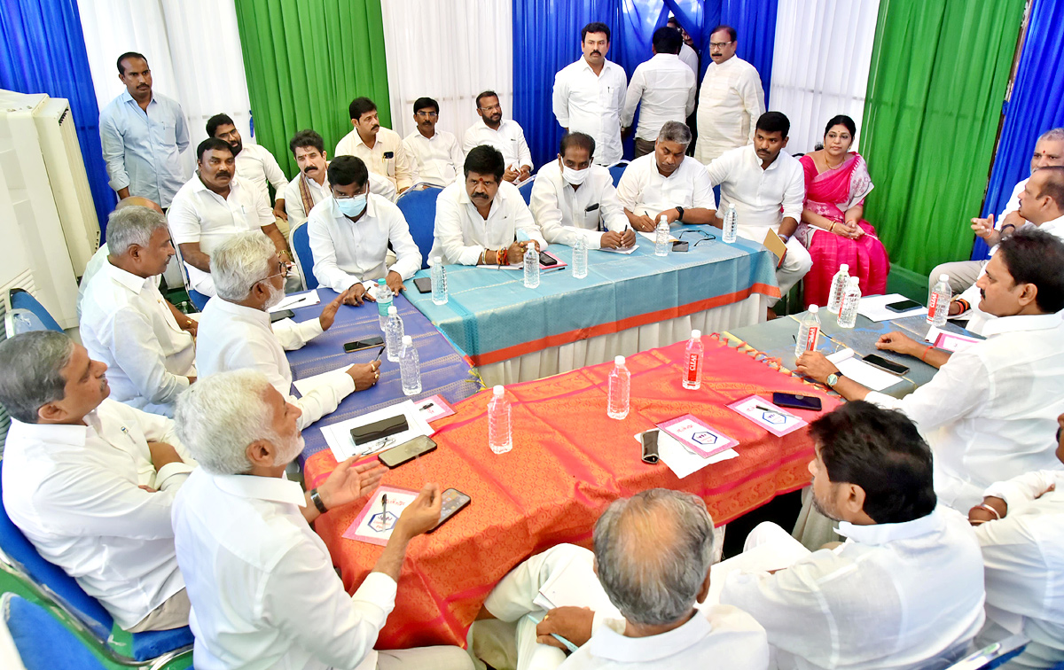 Grand Arrangements For YSRCP Plenary Meeting  - Sakshi2