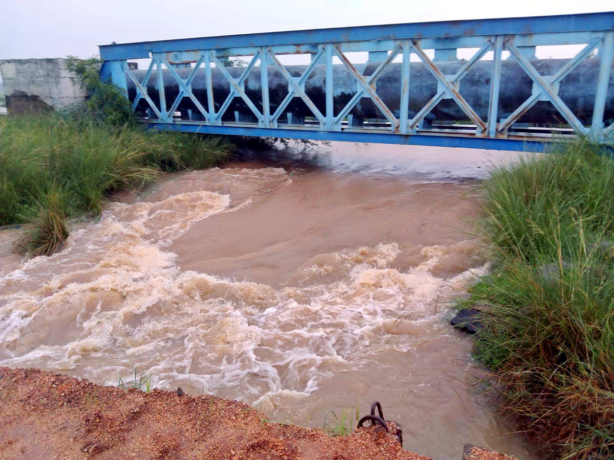 Heavy Rains In Telugu States  - Sakshi4