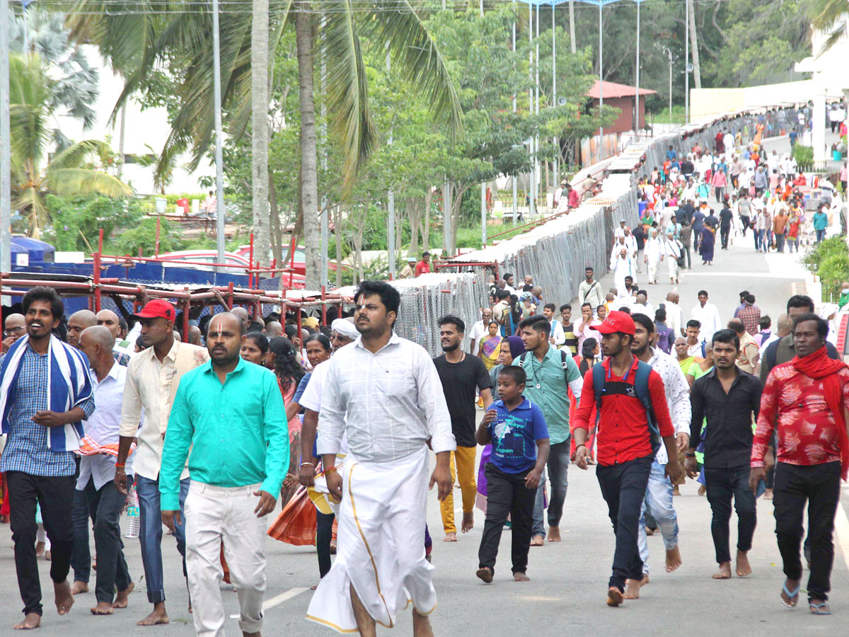 Huge Devotees Rush At Tirumala Tirupati Temple - Sakshi8