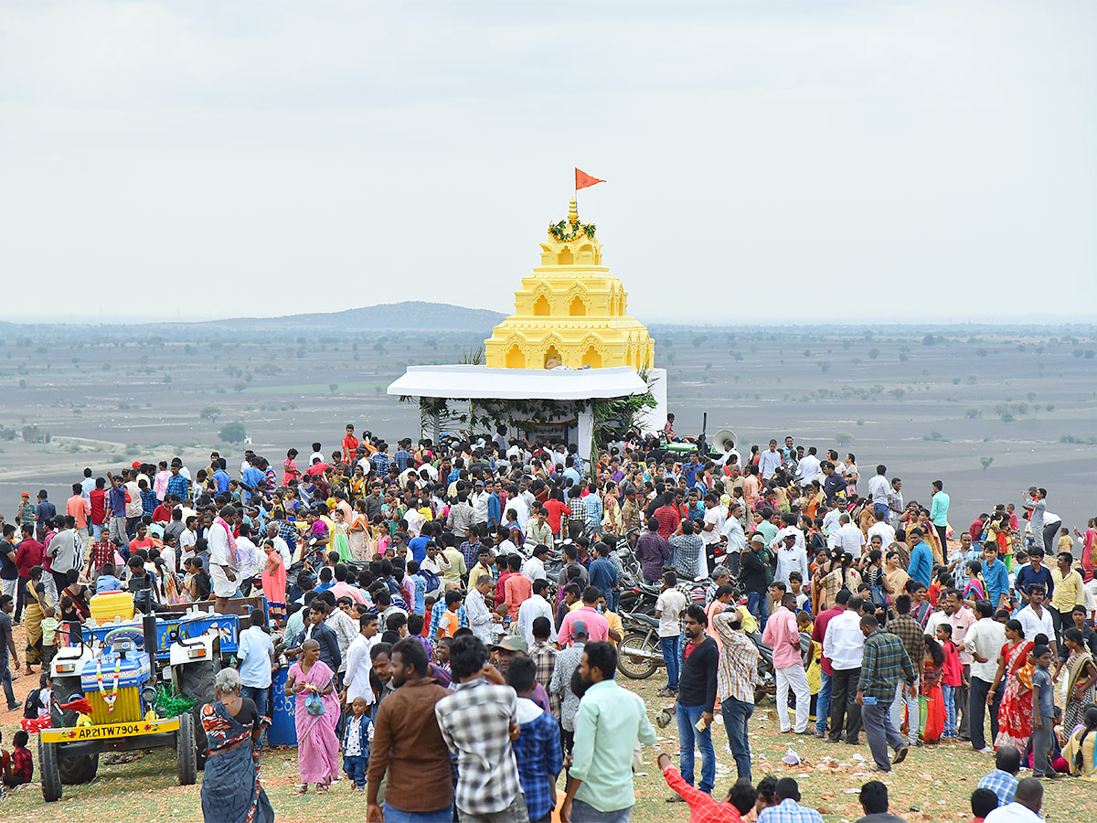 Devotees offering scorpions to lord Venkateswara in Kurnool Temple - Sakshi6