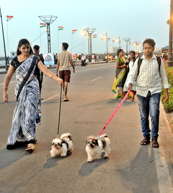 Sunday Funday Programme on Tank Bund - Sakshi17