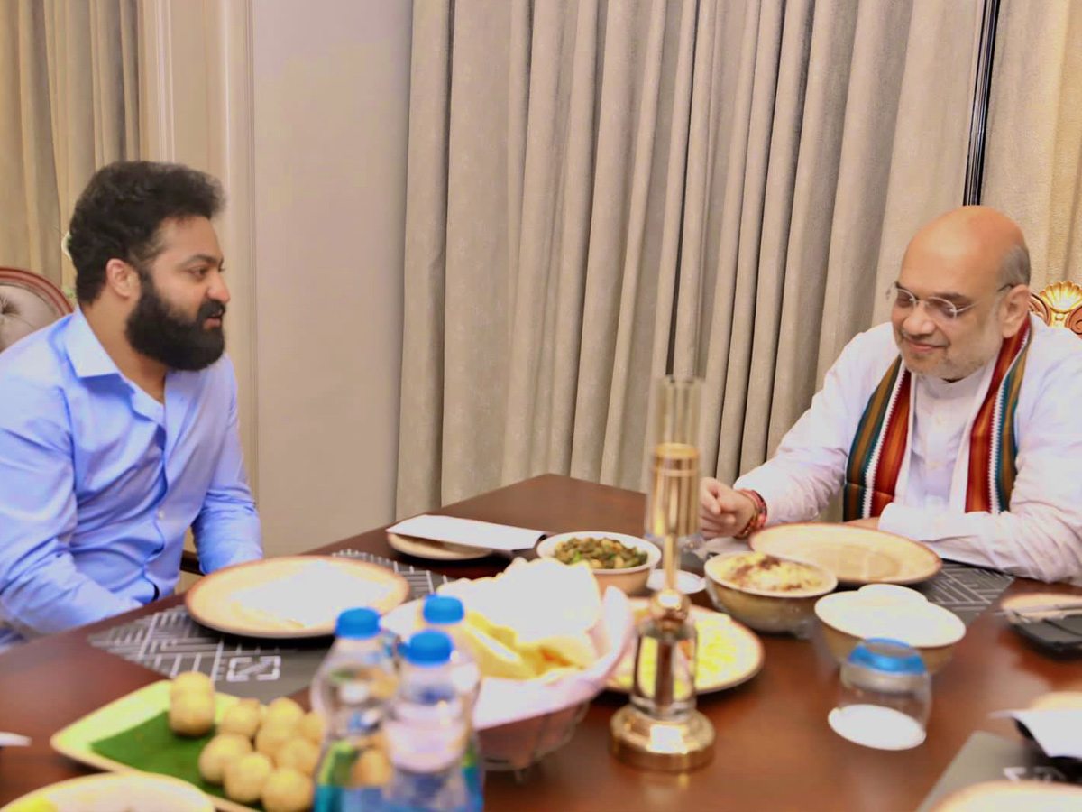  Junior NTR Meeting With Amit Shah Photos - Sakshi10