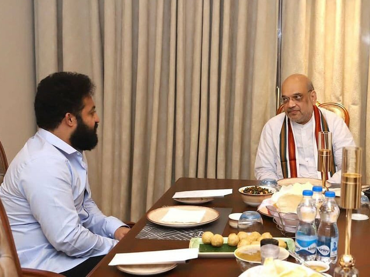  Junior NTR Meeting With Amit Shah Photos - Sakshi11