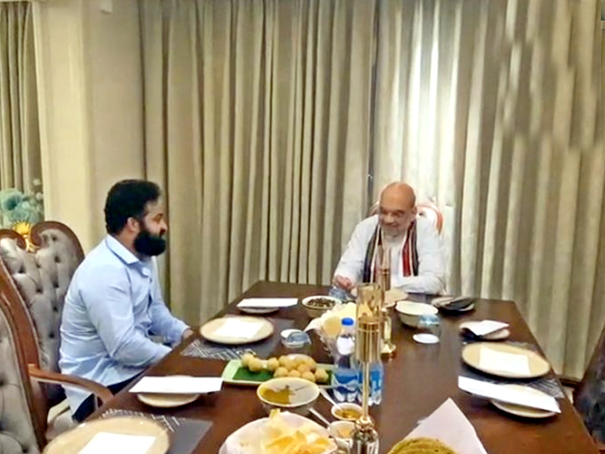  Junior NTR Meeting With Amit Shah Photos - Sakshi6