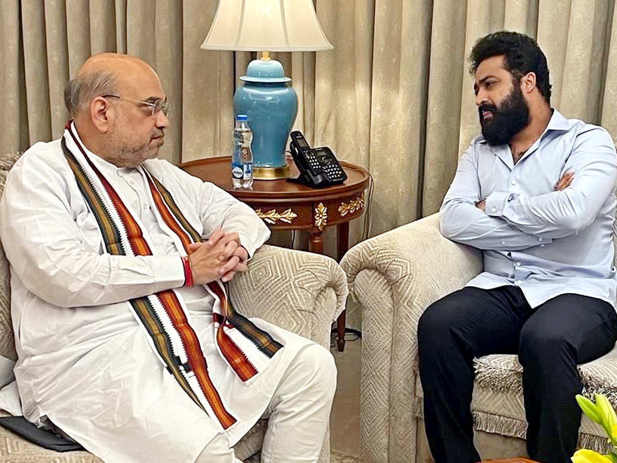  Junior NTR Meeting With Amit Shah Photos - Sakshi8