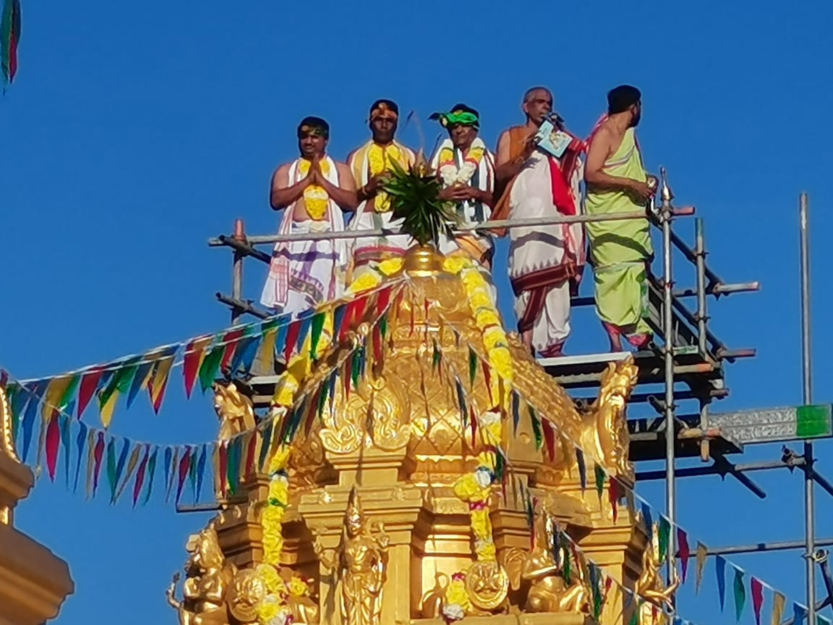 Sri Venkateswara Swamy Kalyanam Celebrations In Malaysia - Sakshi2