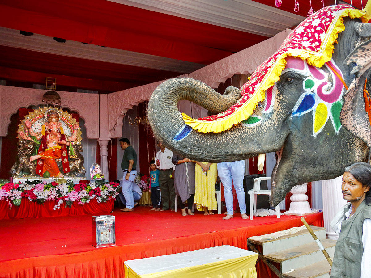 Ganesh Chaturdi Celebrations are Grand Across the Country Photo Gallery - Sakshi21