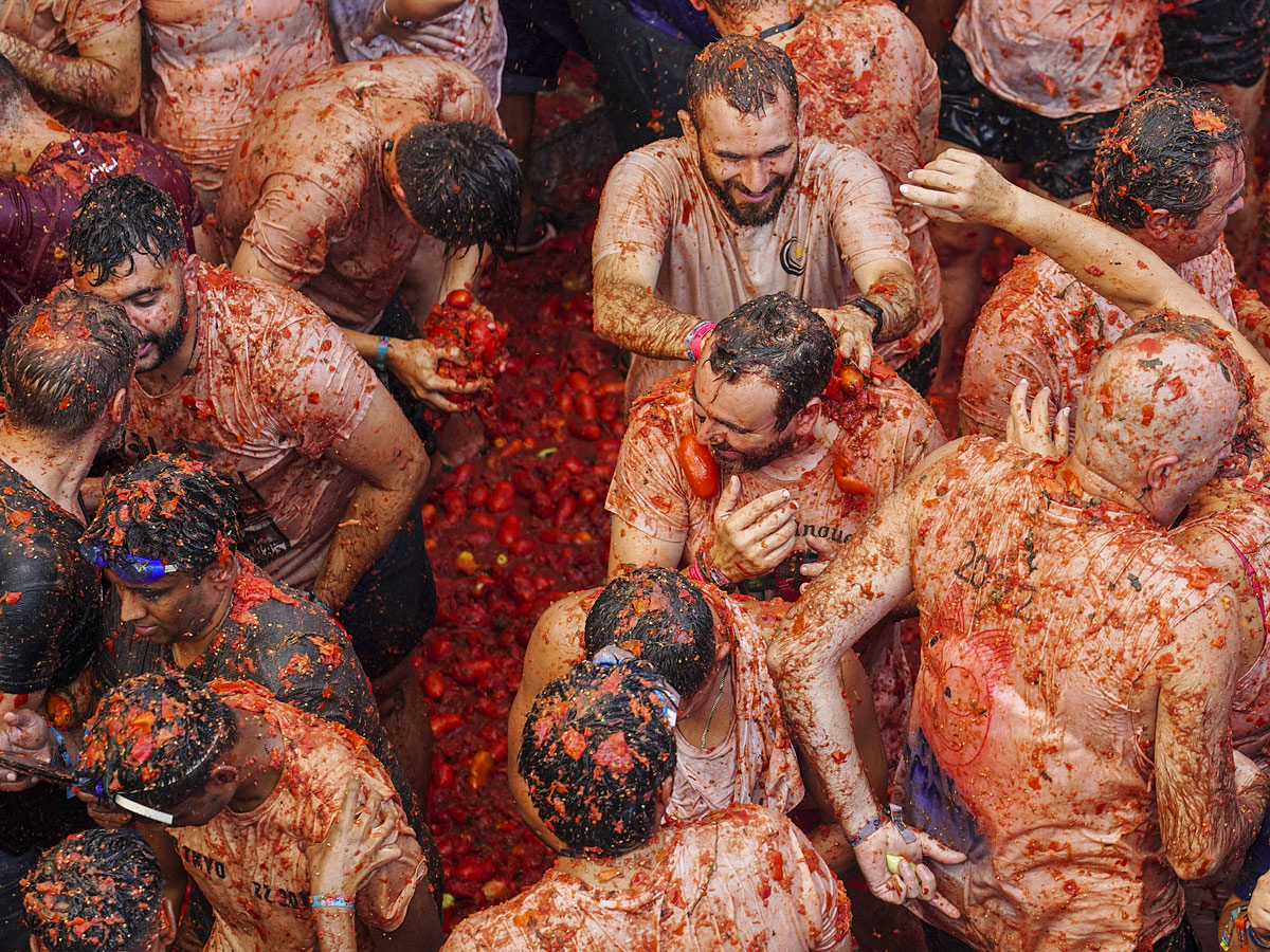 Tomatina Festival 2022 Photo Gallery - Sakshi2