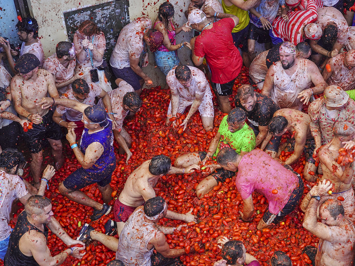 Tomatina Festival 2022 Photo Gallery - Sakshi11