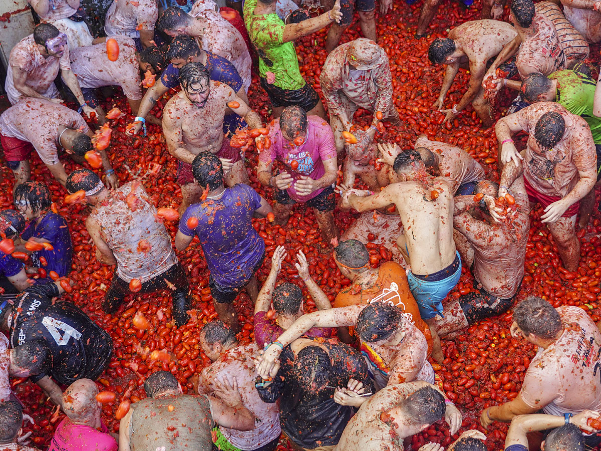 Tomatina Festival 2022 Photo Gallery - Sakshi12