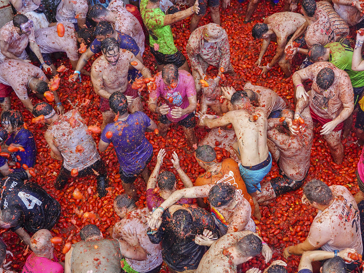 Tomatina Festival 2022 Photo Gallery - Sakshi3