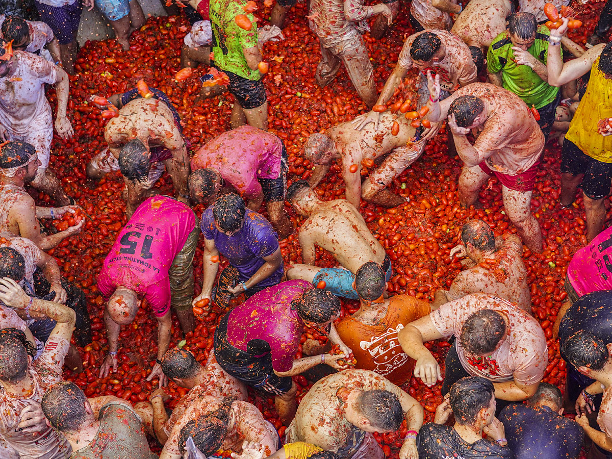 Tomatina Festival 2022 Photo Gallery - Sakshi6