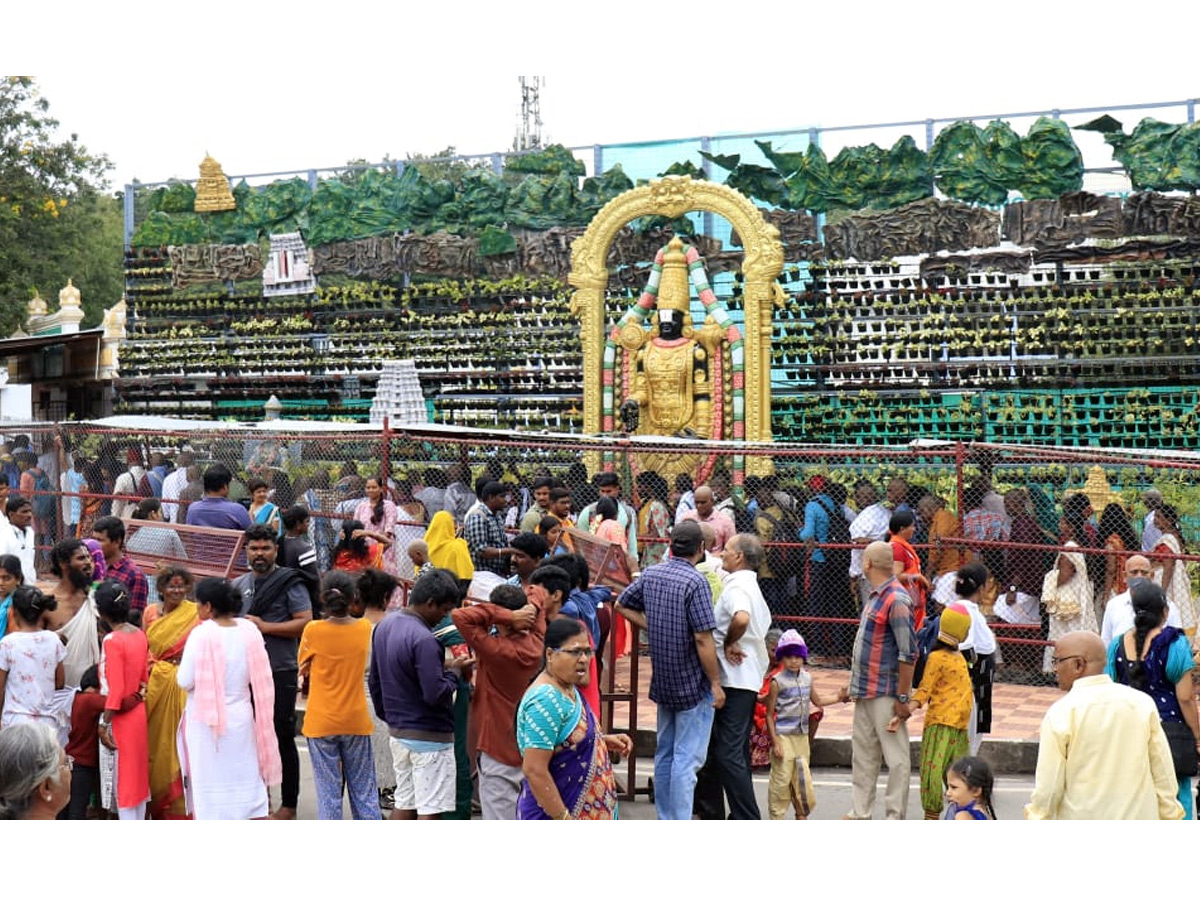 Heavy Rush At Tirumala Photo Gallery - Sakshi10