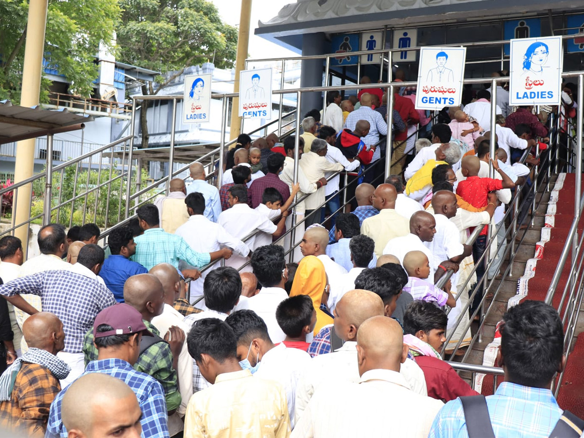 Heavy Rush At Tirumala Photo Gallery - Sakshi11