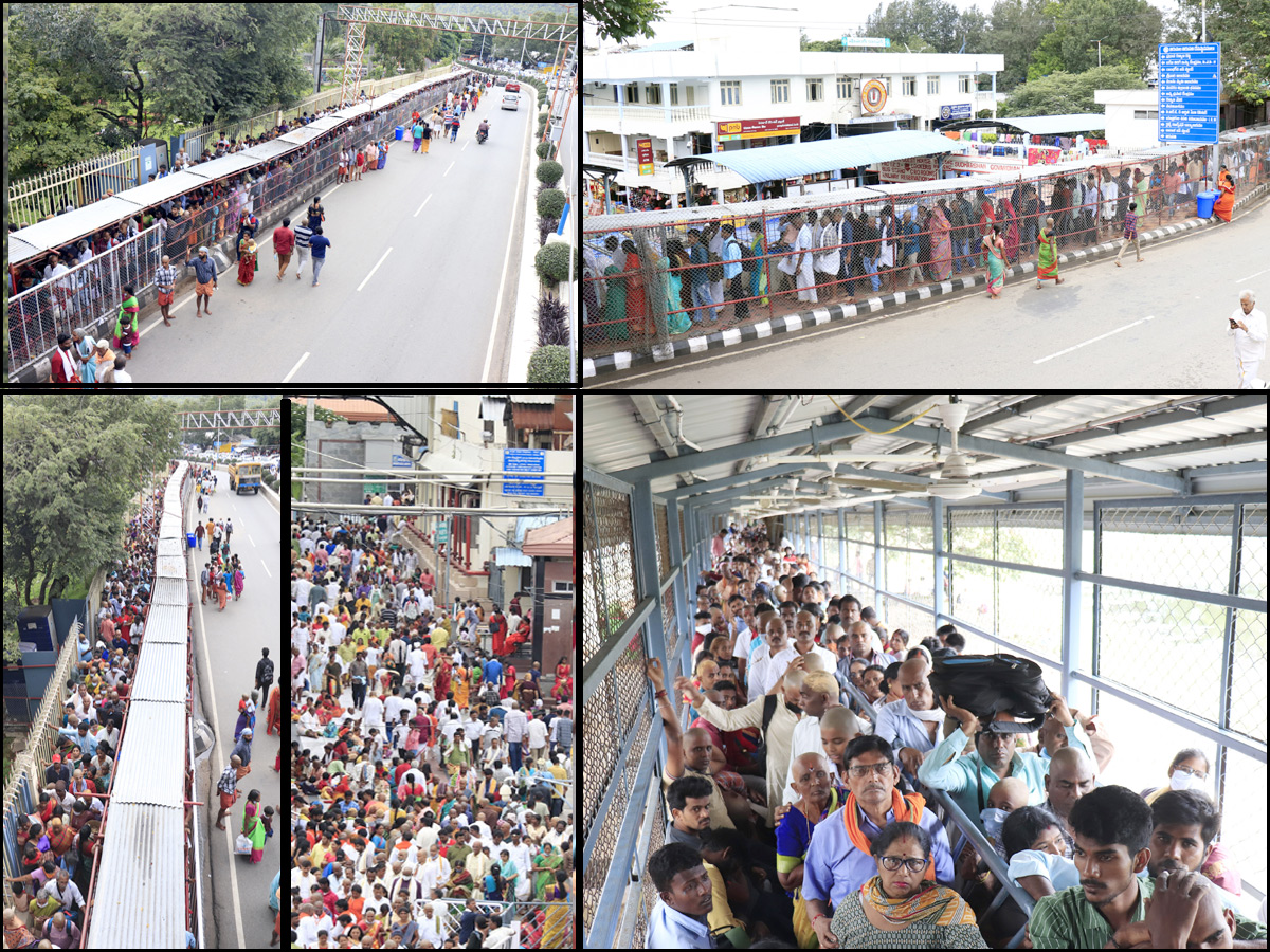 Heavy Rush At Tirumala Photo Gallery - Sakshi1