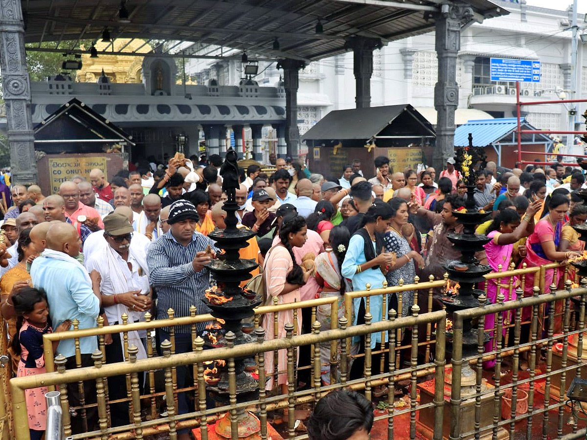 Heavy Rush At Tirumala Photo Gallery - Sakshi14