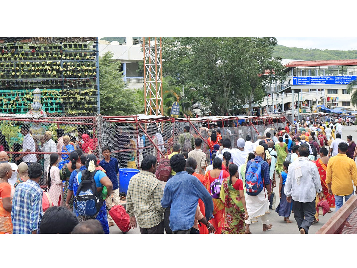 Heavy Rush At Tirumala Photo Gallery - Sakshi7