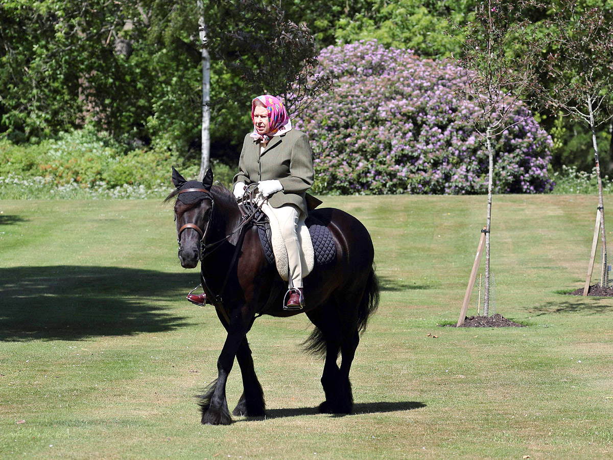 Queen Elizabeth Rare Photos  - Sakshi53