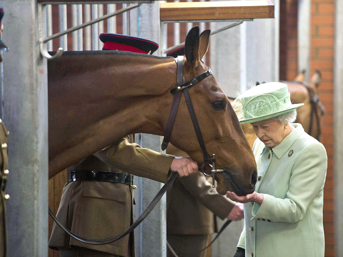 Queen Elizabeth Rare Photos  - Sakshi54