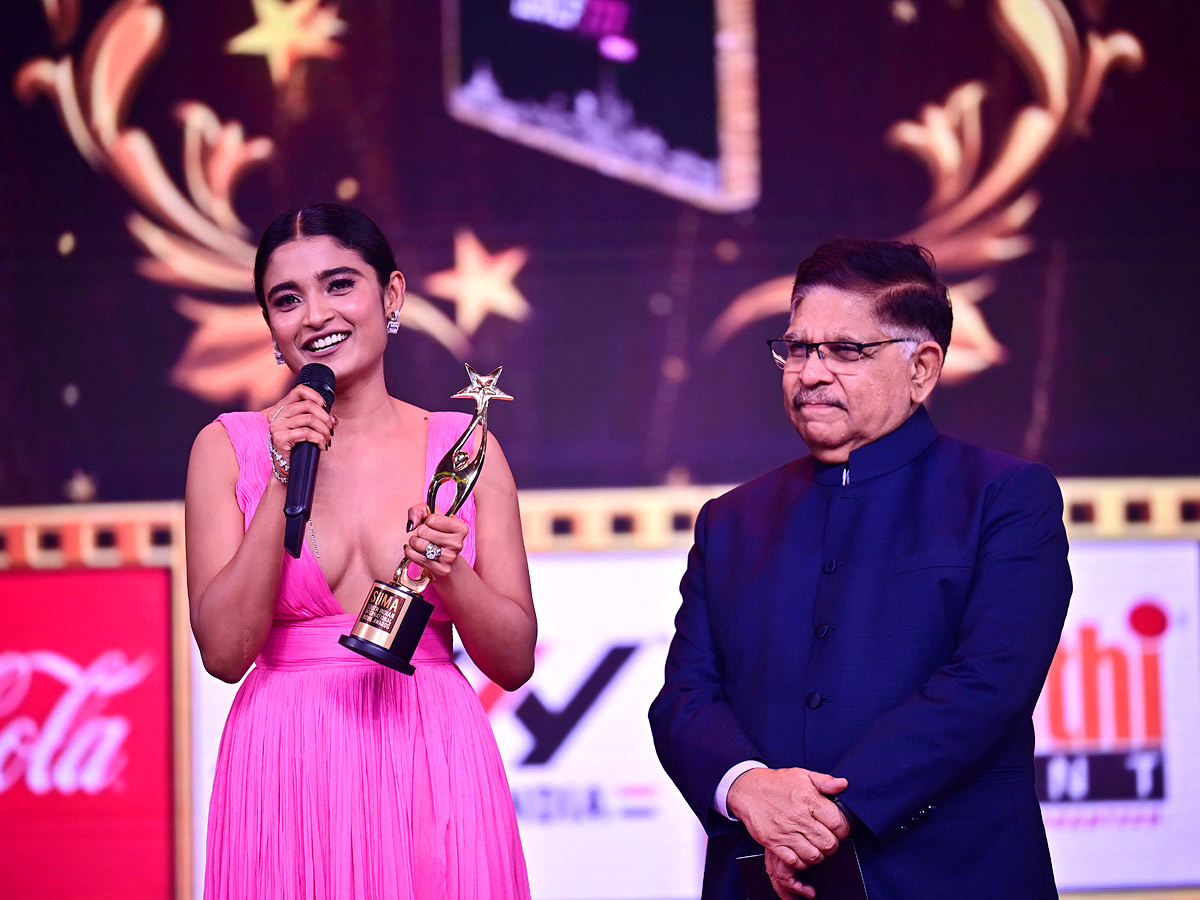 Siima Awards 2022 Photo Gallery - Sakshi4