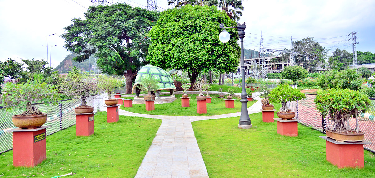 Rajiv Gandhi Park in Vijayawada  - Sakshi6