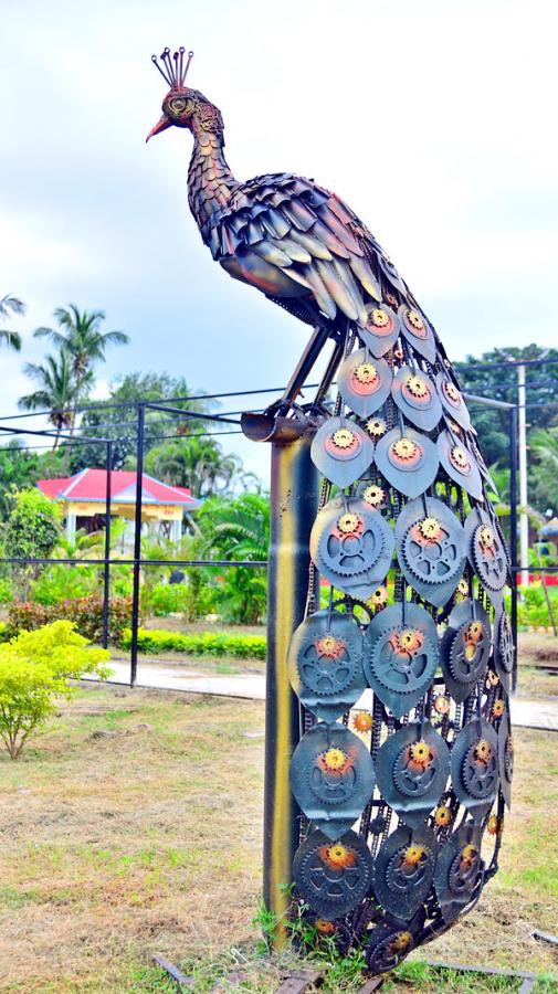 Rajiv Gandhi Park in Vijayawada  - Sakshi18