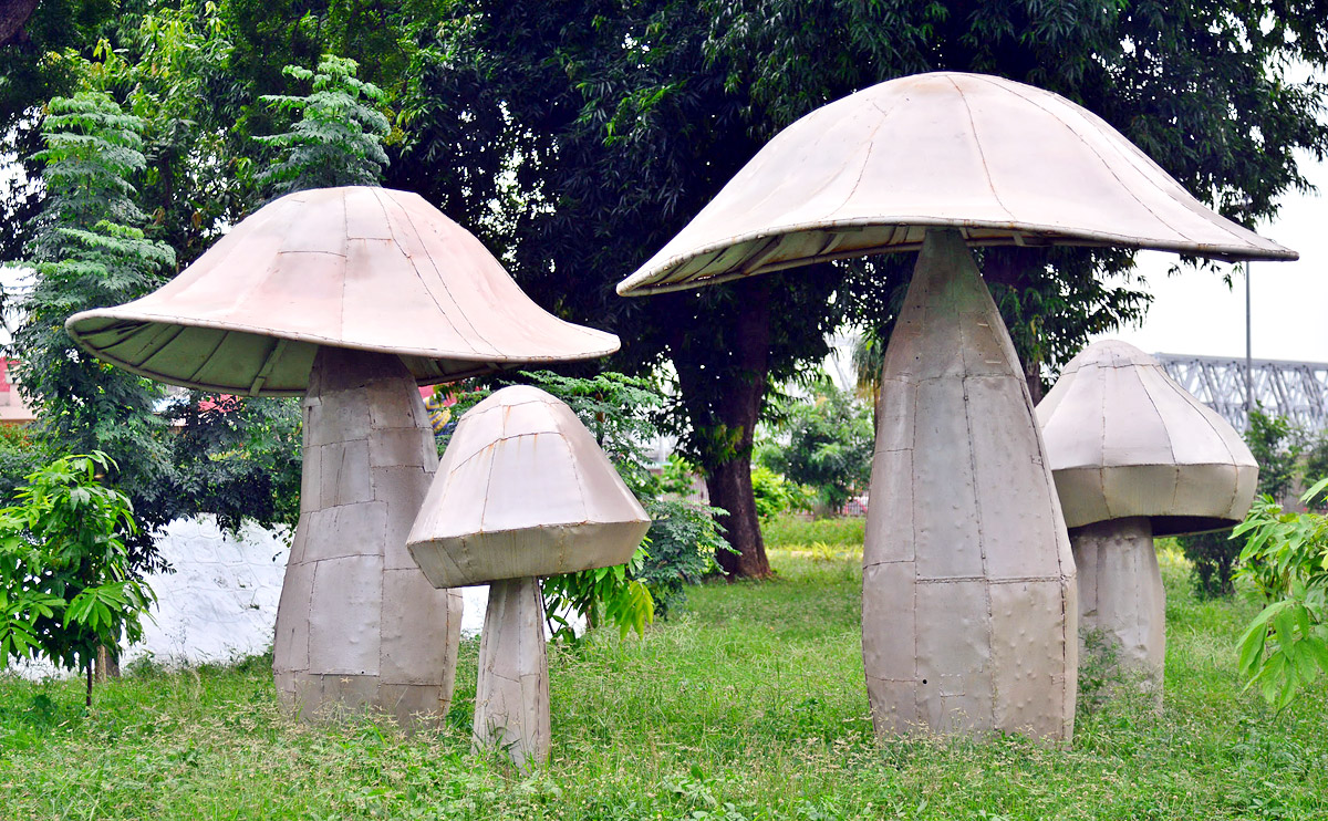 Rajiv Gandhi Park in Vijayawada  - Sakshi11