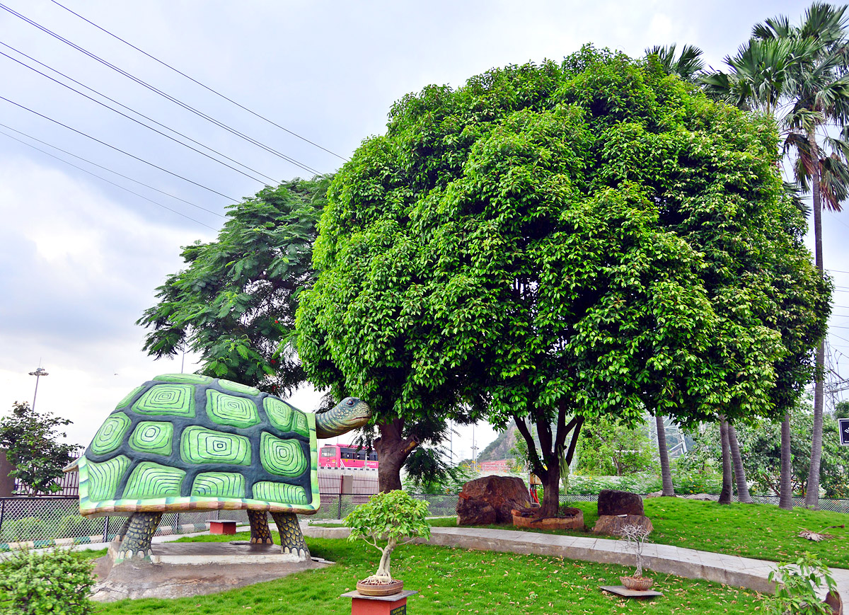 Rajiv Gandhi Park in Vijayawada  - Sakshi12