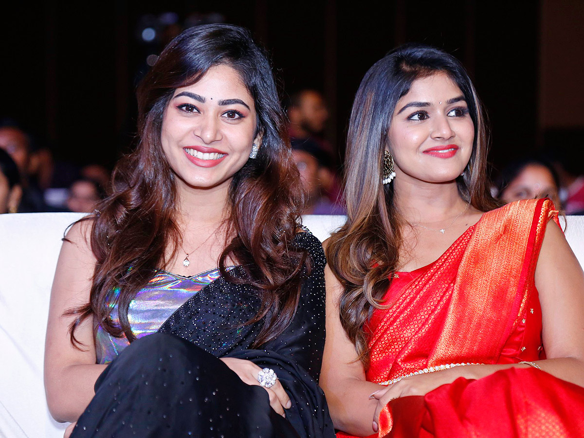 Nenu Meeku Baga Kavalsina Vadini Movie Pre Release Event - Sakshi11