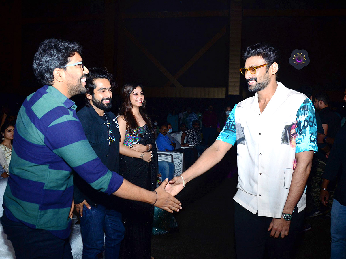 Nenu Meeku Baga Kavalsina Vadini Movie Pre Release Event - Sakshi15