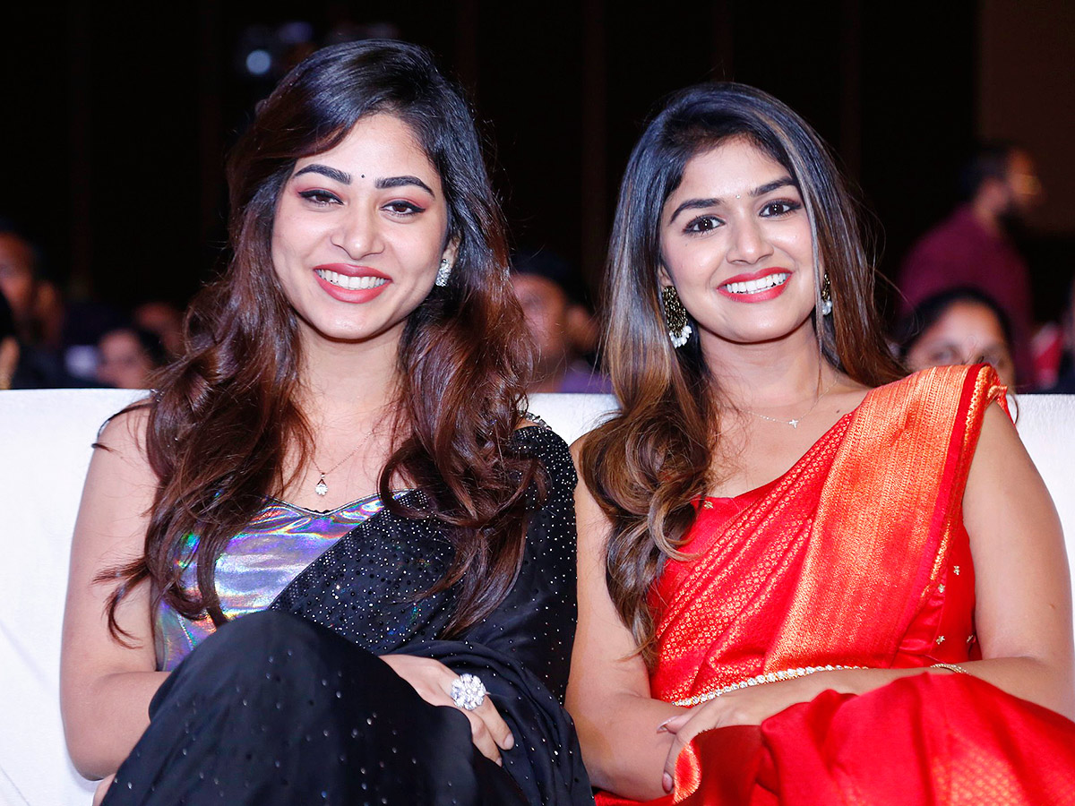 Nenu Meeku Baga Kavalsina Vadini Movie Pre Release Event - Sakshi4