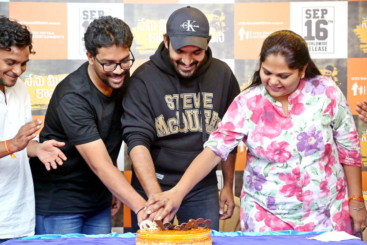 Nenu Meeku Baaga Kavalsinavaadini Movie Success Celebrations - Sakshi11