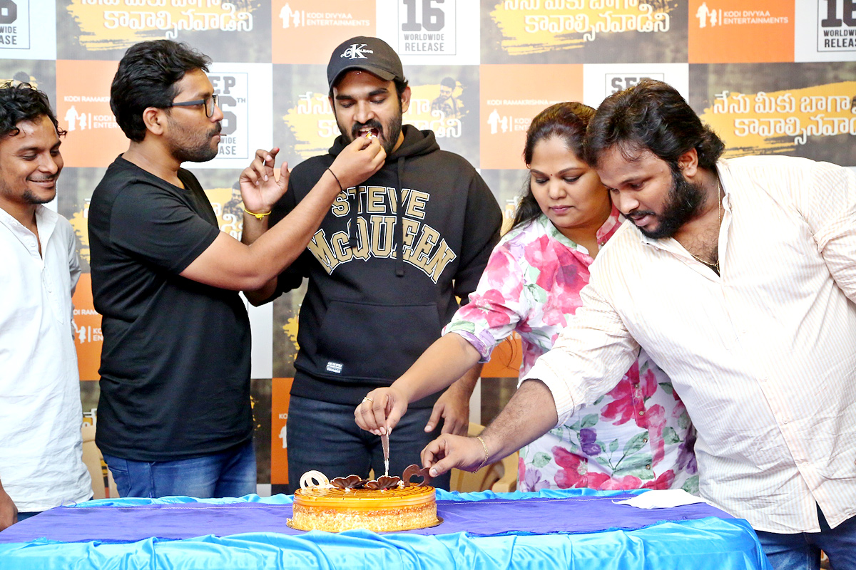 Nenu Meeku Baaga Kavalsinavaadini Movie Success Celebrations - Sakshi13