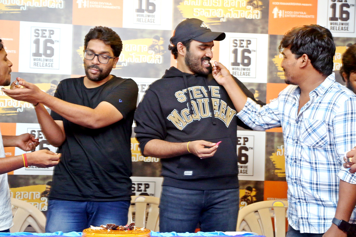 Nenu Meeku Baaga Kavalsinavaadini Movie Success Celebrations - Sakshi15