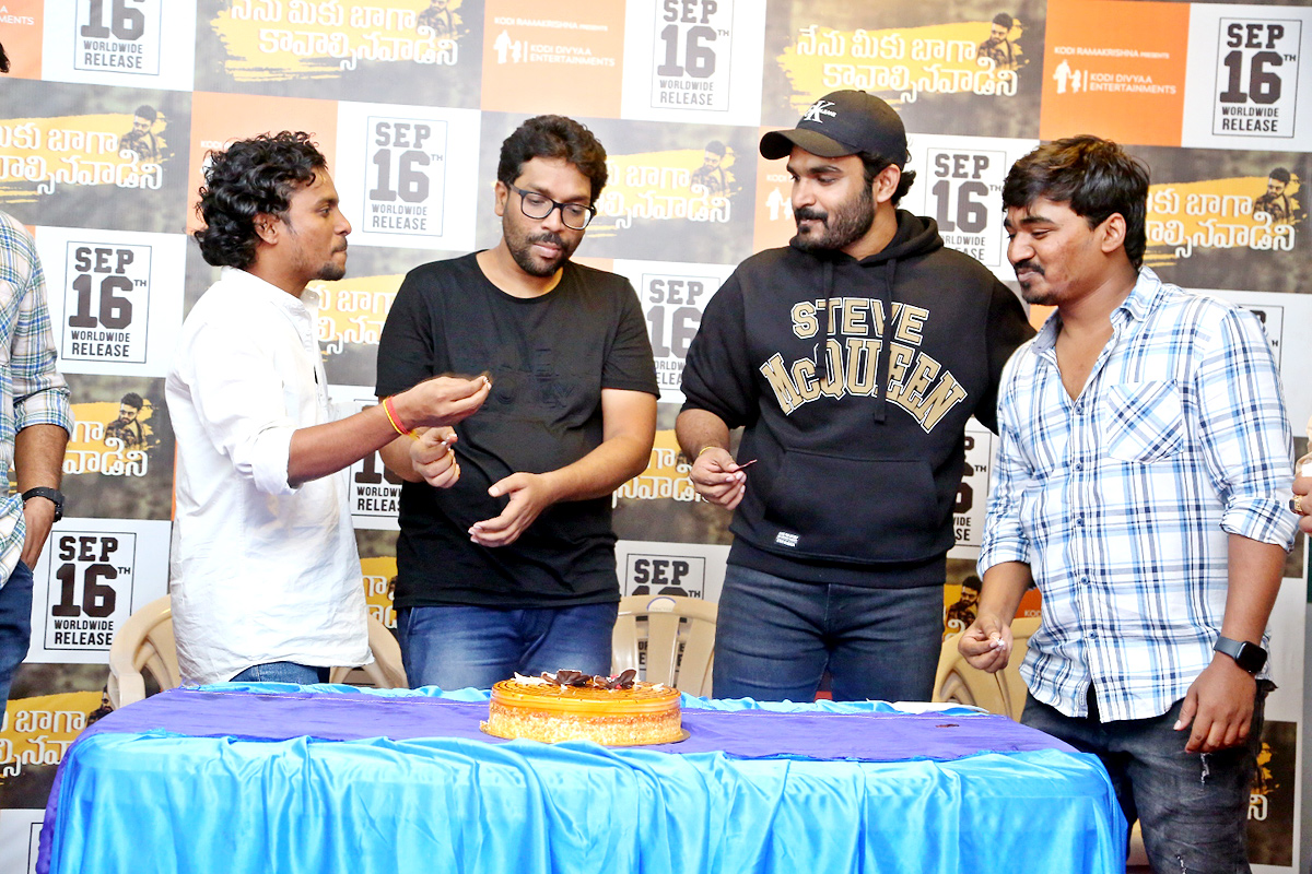 Nenu Meeku Baaga Kavalsinavaadini Movie Success Celebrations - Sakshi16