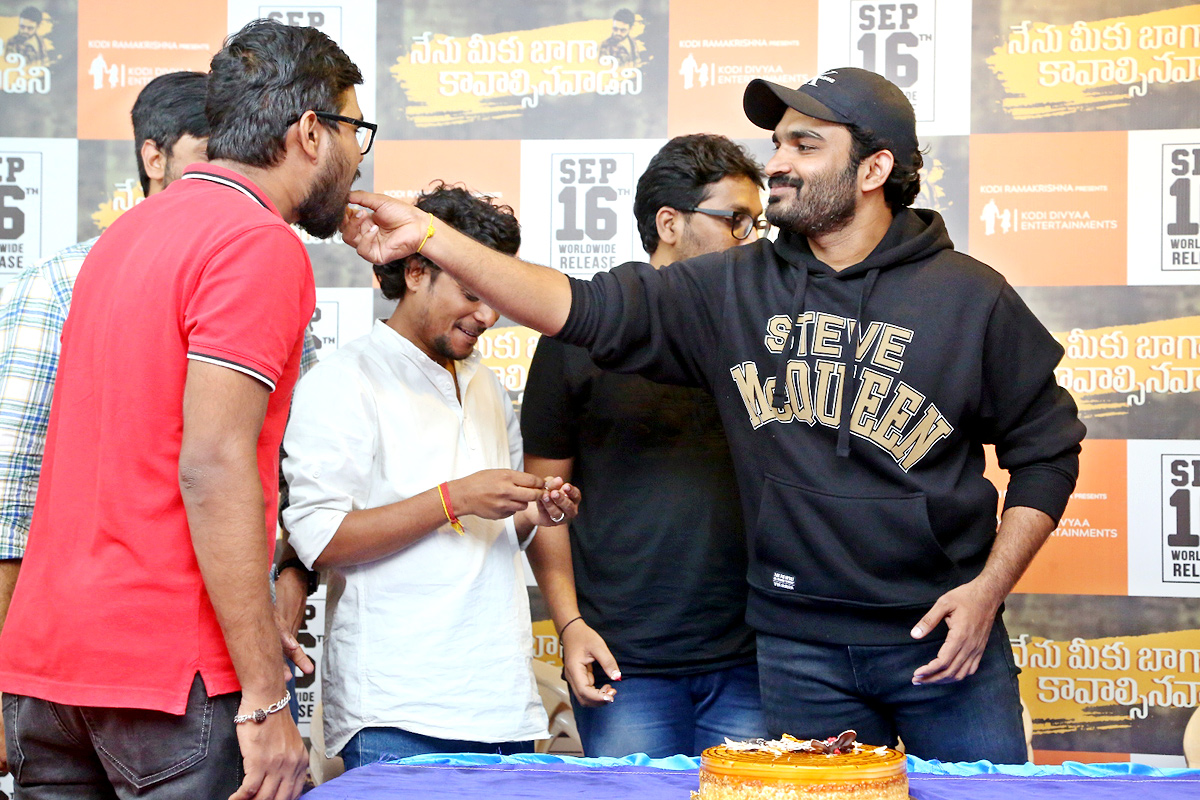 Nenu Meeku Baaga Kavalsinavaadini Movie Success Celebrations - Sakshi17