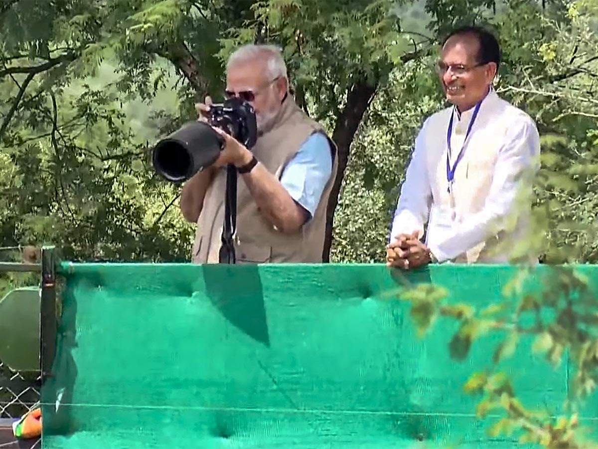 Narendra Modi Releases Cheetahs Kuno Park Photos - Sakshi4