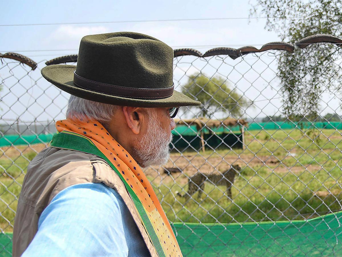 Narendra Modi Releases Cheetahs Kuno Park Photos - Sakshi5